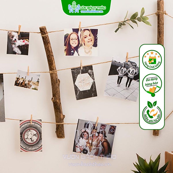 5m dây cói,  trang trí cây cảnh, khung ảnh, thiệp...