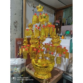 Cây kim tiền thành phẩm mẫu vàng miếng mới 40cm phkshop