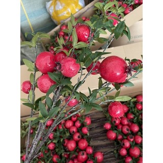 Cành lựu 6 quả to đẹp màu đỏ