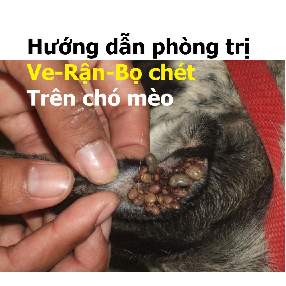 Orgo- Phòng trừ ve rận bọ chét trên chó mèo hiệu quả nhất bằng nhỏ gáy và xịt.