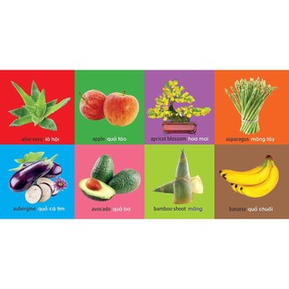 Sách - 101 Từ Đầu Tiên: Thực Vật