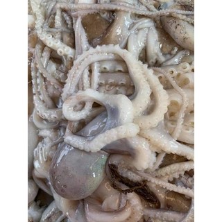 BẠCH TUỘC 2DA . Khay 1kg (giao hỏa tốc)
