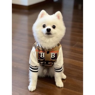 Áo khoác bomber burberry cho cún