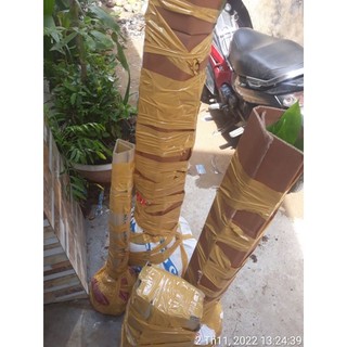 Cây Xoài thái