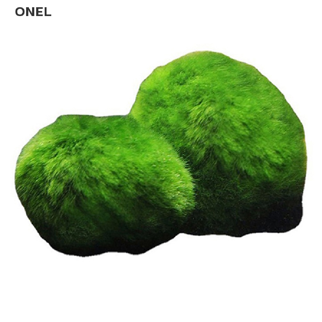 On Quả Cầu Marimo 2-3cm Cá Tôm Tảo Trang Trí my