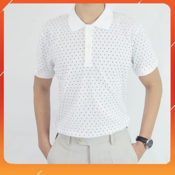 Áo thun polo nam trơn áo phông nam có cổ đẹp cao cấp hàng hiệu đen trắng AT06 ®️