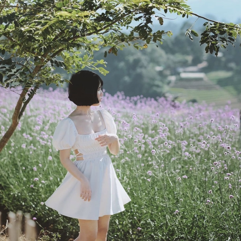 - Đầm Kamina Cổ Vuông Tay Phồng Cột Nơ Lưng