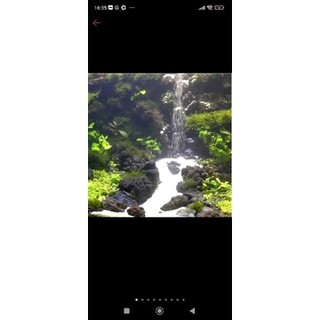 cát trắng tự nhiên