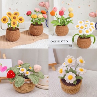 Chậu hoa len to hoa hương dương, tulip, cúc dâu tây chậu to