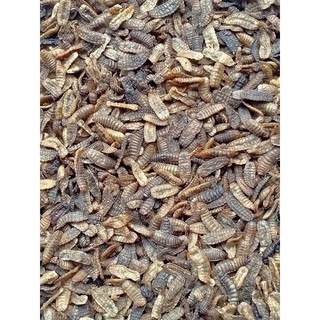 Ấu trùng Ruồi lính đen sấy khô - Gói 1kg