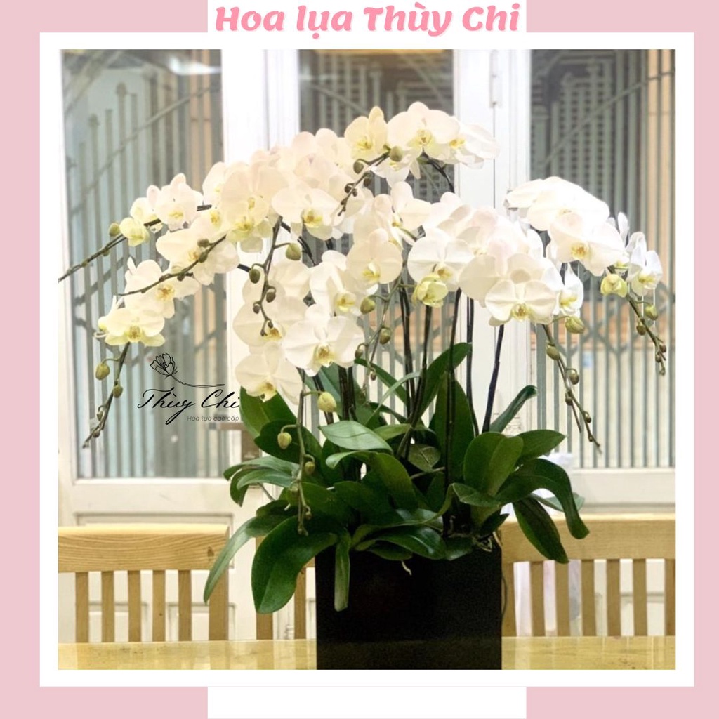 Hoa giả,hoa lụa - Lan Hồ Điệp 9 bông đẹp như thật, dài 110 cm trang trí lễ tết - Có ảnh thật