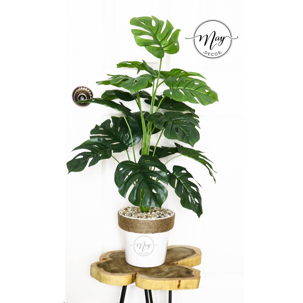 Cây giả, Chậu cây môn giả trang trí 80cm kèm chậu