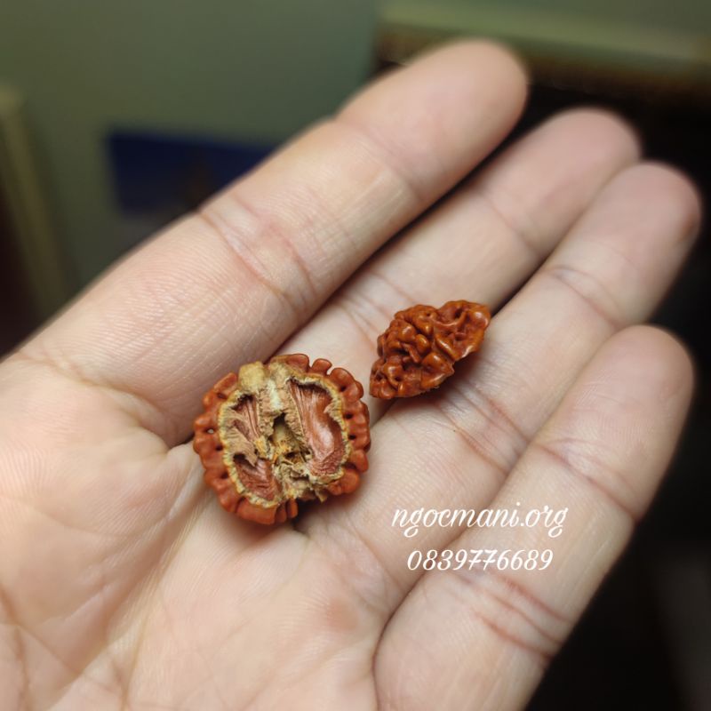 Vòng tay phật giáo, vòng tay hạt bồ đề kim cang rudraksha