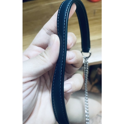 Pass túi đeo chéo Coach auth