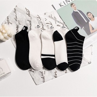 Combo 5 đôi vớ gấu trúc