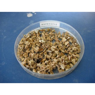 Bạch Tật Lê khô 1kg