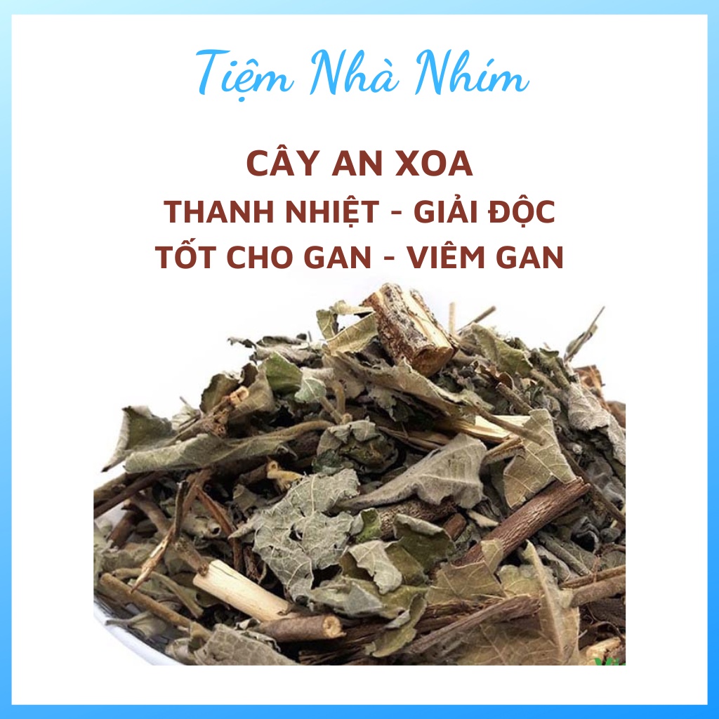 Cây An Xoa Khô (Thân, Cành lá Nguyên Chất) Tốt Cho Người Be-nh Gan, An Xoa Bình Phước Chính Hãng Hỗ Trợ Ung Thư Gan