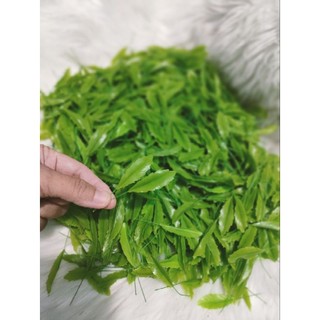 lá mai, lá đào đất sét