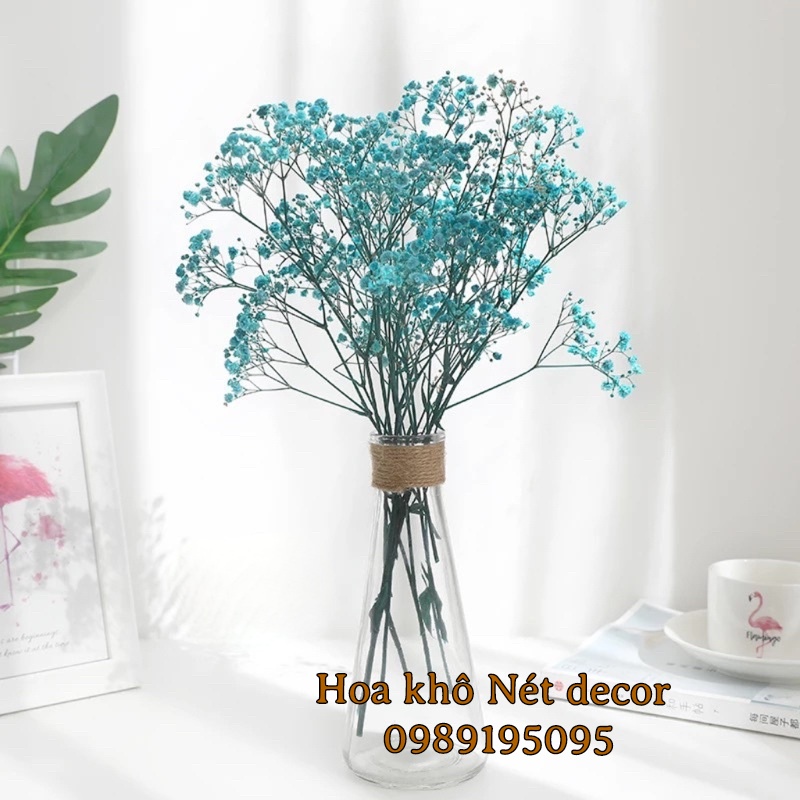 Hoa Baby khô nhiều màu không tàn dùng trang trí nhà bó nhỏ