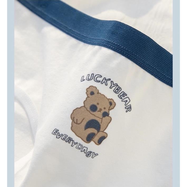 Quần Lót Nữ Cotton Gấu Nâu Softie -  Ngang Eo Thời Trang Dễ Thương 125