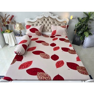 Bộ drap thun hàn quốc 4 món mát mịn