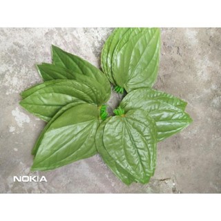 Buồng cau - lá trầu giả- buồng cau 50 quả. 10 lá trầu
