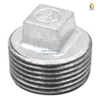 Nút bịt ren ngoài mạ kẽm jianzhi 21mm - 49mm