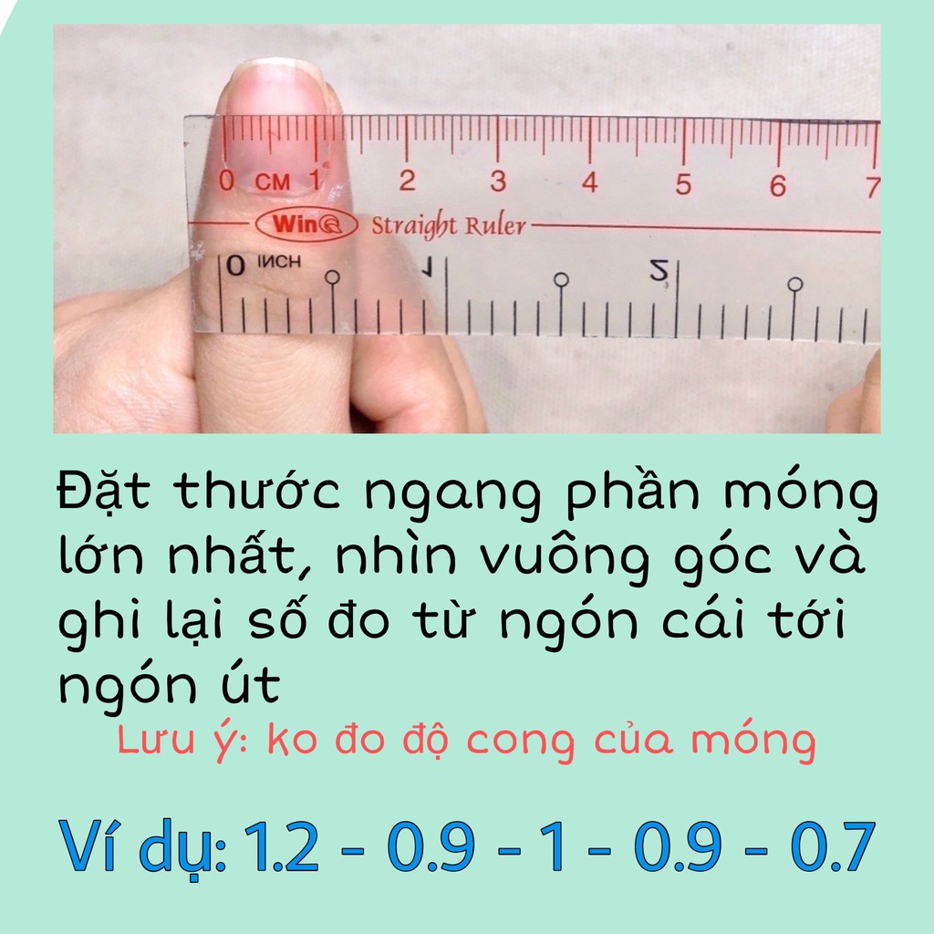 NAILBOX - MÓNG THIẾT KẾ HOA TULIP TRÁNG GƯƠNG HÀN QUỐC