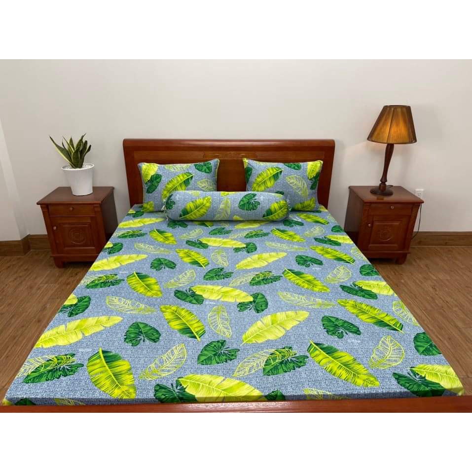 [2m*2m]Bộ ga gối4 món  thun lạnh Hàn Quốc