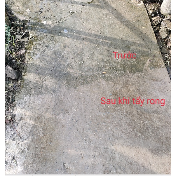 01kg Bột tẩy rong rêu sân nền xi măng, bê tông, tường gạch,...