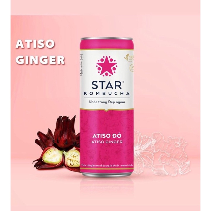 Trà STAR KOMBUCHA 250ml-Vị Atiso Đỏ