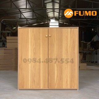 Tủ để giày dép gỗ 2 cánh 4 ngăn đa năng, kệ tủ giày gỗ mdf fu22002-fu22006