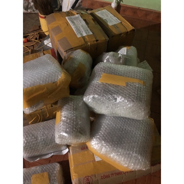 Tổ chim sinh sản cho chào mào