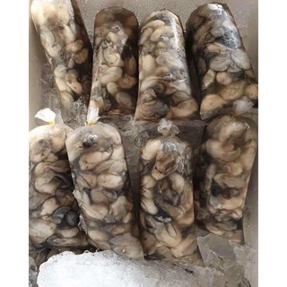 (HCM - CHỈ GIAO HỎA TỐC) Ruột hào sữa tươi 500gr