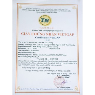 Chè Búp Ngon Tân Cương - 500g