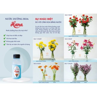 Nước dưỡng hoa Hana 100ml (Pha cho 1 lít nước)