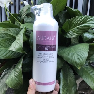 DẦU HẤP Ủ XẢ DƯỠNG TÓC MỀM MƯỢT SPA  AURANE 750ml