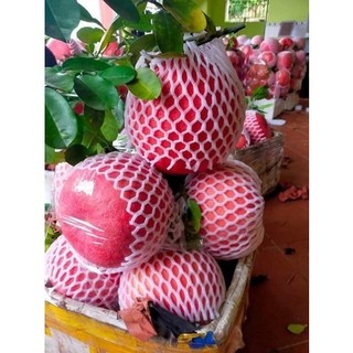 Xốp bọc trái cây 1kg (22cm-25cm)