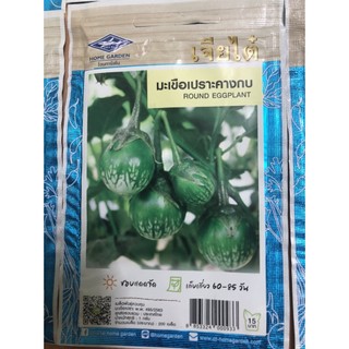 Hạt giống cà pháo xanh sọc thái lan nhập khẩu