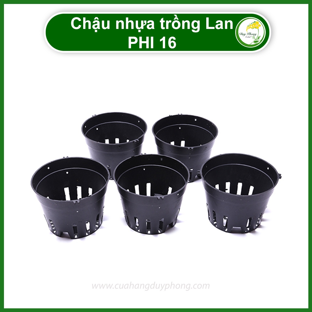 Chậu nhựa trồng Lan - Phi 16