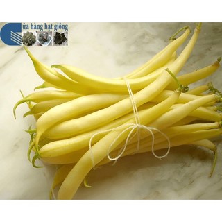 (Mã NSF02P125 giảm 25K) Hạt giống Đậu Cove Vàng (bụi)