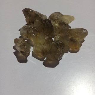 100gr Mầm khói tự do mini Smoke Gold
