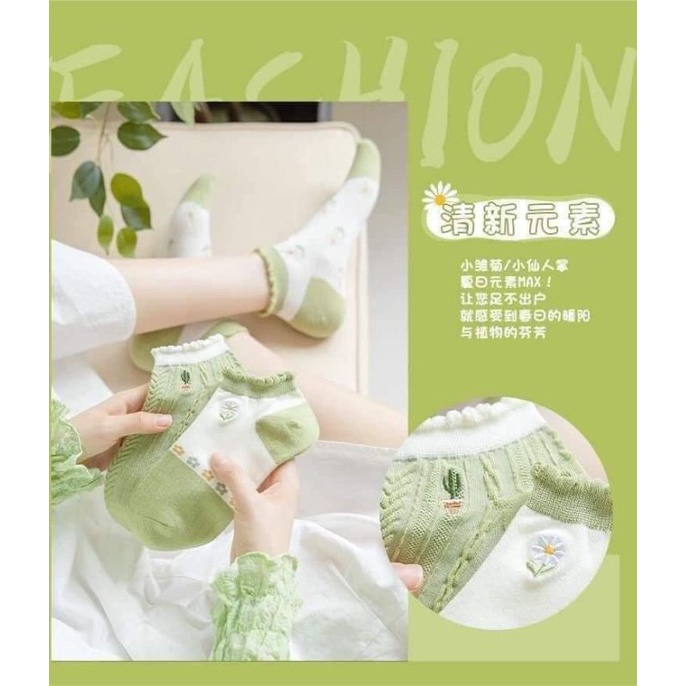 SET 5 TẤT HOA NỮ