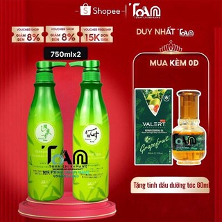Dầu gội xả trà xanh green tea q&y 750ml - chính hãng