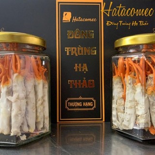 ĐÔNG TRÙNG HẠ THẢO HATACOMEC NGUYÊN CON SÂU TẰM 10 GRAM.