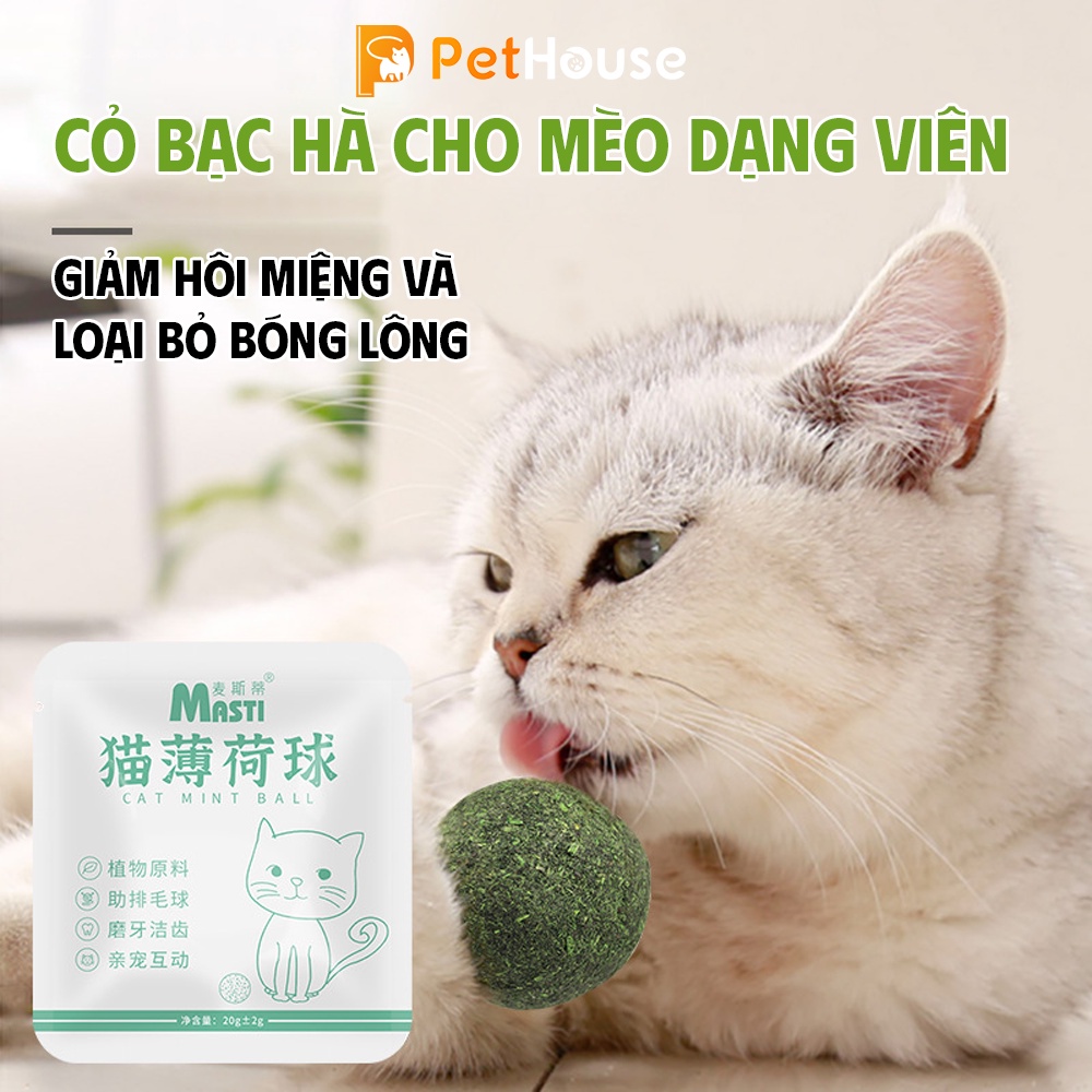 Catnip ball - Viên cỏ bạc hà cho mèo Masti 20g giúp mèo thư giãn, làm sạch răng