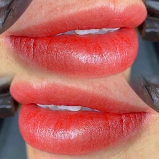[ 5 Chai ] Dưỡng Môi Collagen Hàn Quốc 5ml