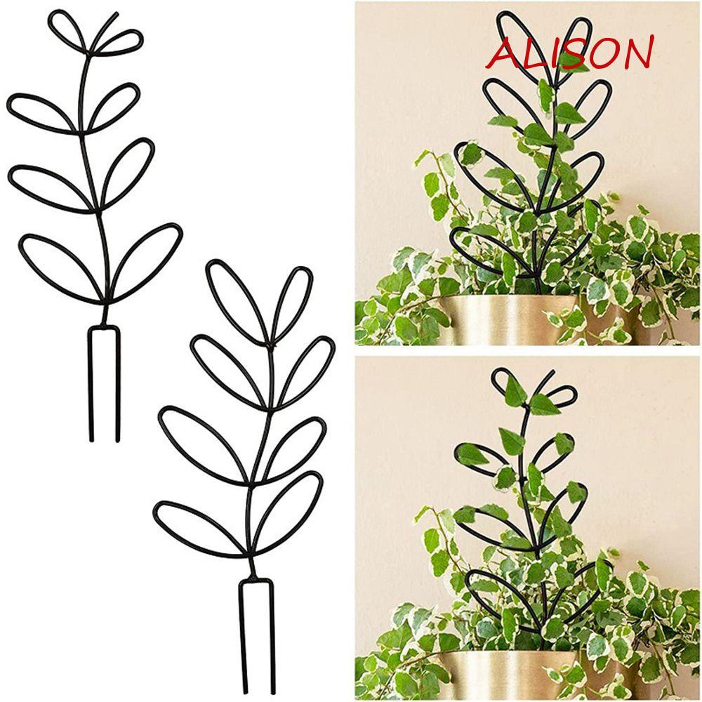 Giá Đỡ Cột Trồng Cây Dây Leo Ban Công Bằng Kim Loại Đa Năng
