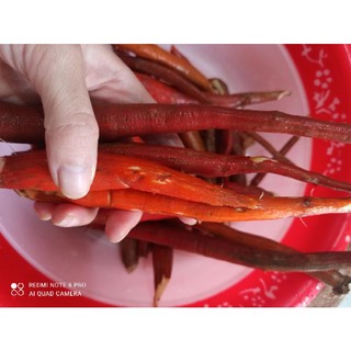 1kg sâm cau đỏ tây bắc 90k