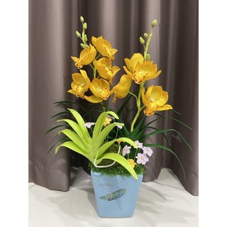 chậu hoa địa lan bằng đất sét